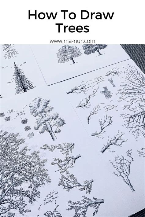 Image result for Draw Trees Tutorial