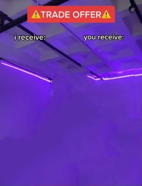 Trade Offer Without Guy Memes - Imgflip