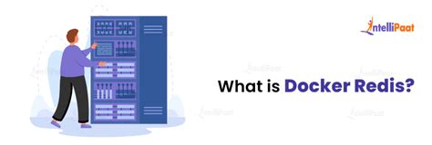 Redis SQL Docker 的图像结果