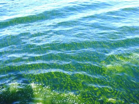 International Indian Ocean Expedition (IIOE-2)