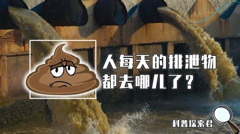 中国人每天的排泄物都到了哪里_高清1080P在线观看平台_腾讯视频