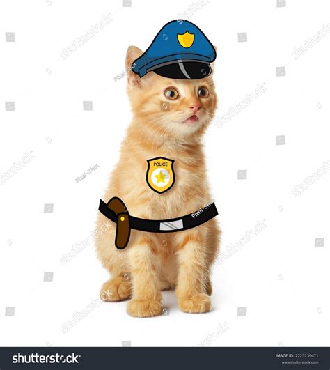 Caramel Kitten Arrested