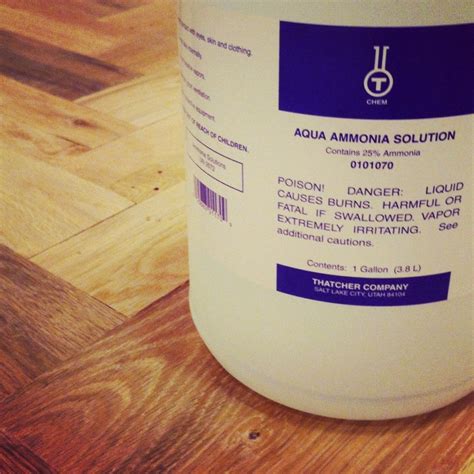 Can You Use Ammonia On Concrete Floors at Carolyn Pless blog