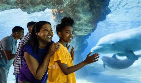 Events Near Me - Discount Tickets and Events | Groupon