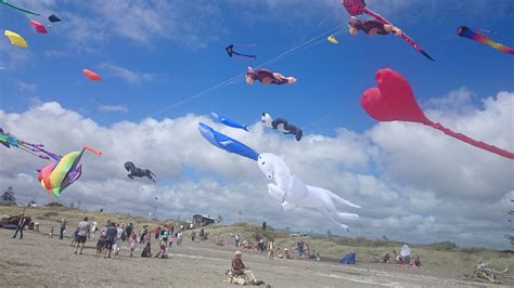 Local People in Welling 的图像结果