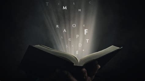 Image result for Decoding the Past