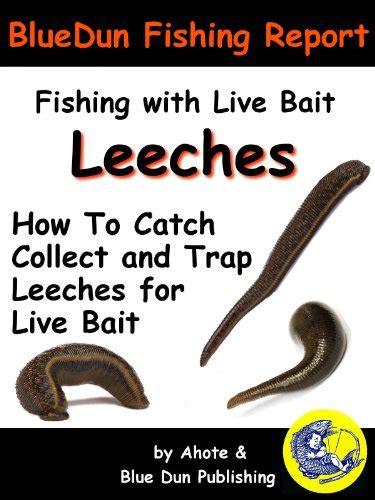 Fishing With Live Bait: Leeches How To Catch Collect and Trap Leeches ...
