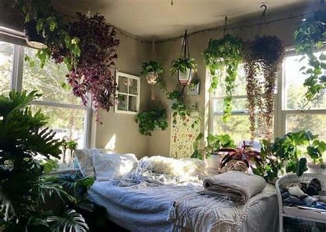 Amazing Indoor Plant Decor Ideas For Your Home – Abana Homes