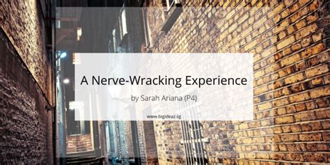 Primary 4 Composition - A Nerve-Wracking Experience - Big Ideaz Education