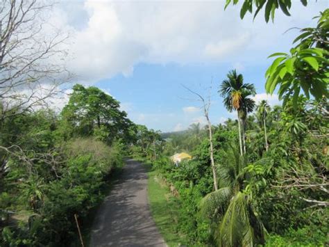 Mayabunder Pictures - Traveller Photos of Mayabunder, North Andaman ...