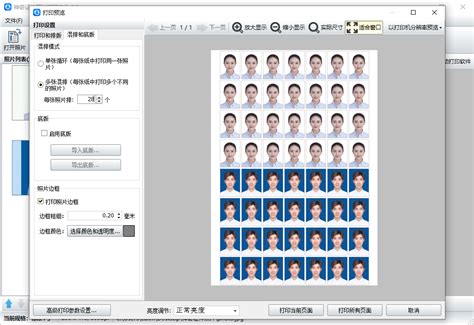 Epson Easy Photo Print 打印证件照