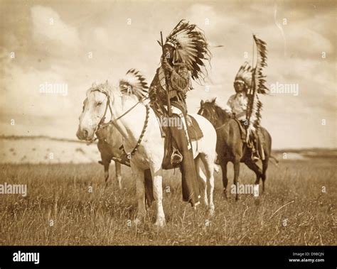Native American Horse Wallpaper Native American Horse Free Photo On