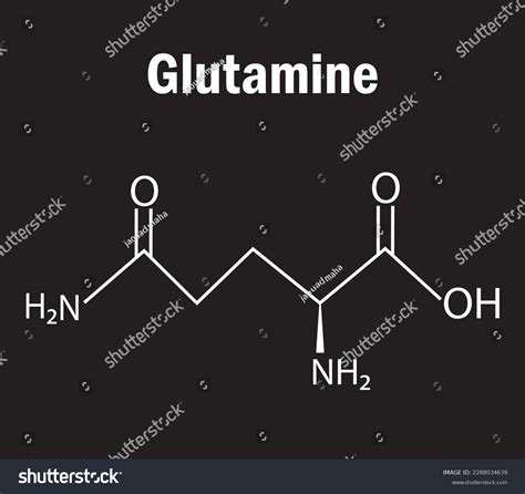 Glutamine Amino Acid Formula Structure Chemical Stock Vector (Royalty Free) 2288034639 ...