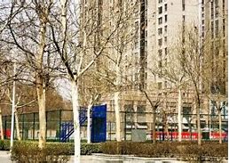 天津学校建站模板 的图像结果