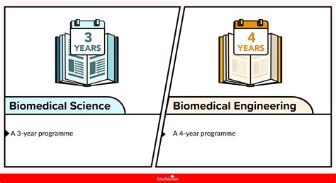Biomedical Engineer vs Electrical Engineer 的图像结果