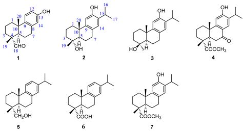 Abietane-Type Diterpenoids from the Arils of Torreya grandis