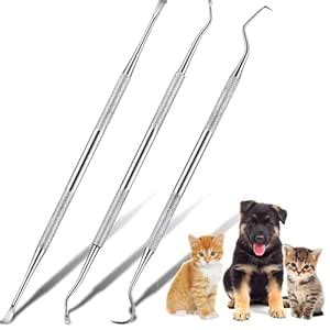 Dog Dental Tooth Scaler and Scraper Stainless Double Headed Tarter ...