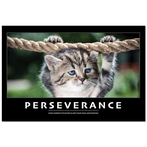 Inspirational Cat Poster
