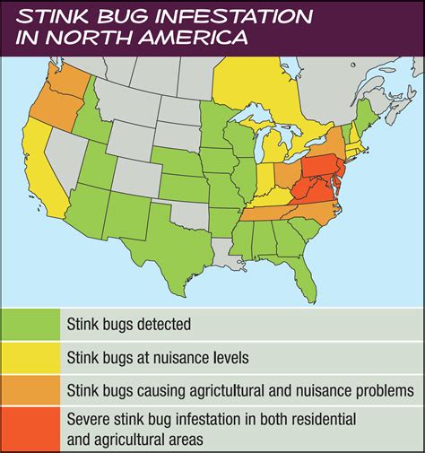 Labor Day is Time for Last Call to Trap Stink Bugs Outdoors