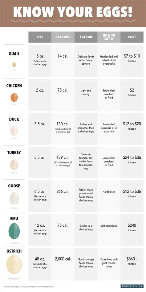 Types of Eggs - Business Insider