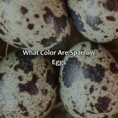 What Color Does Brown And Red Make - colorscombo.com