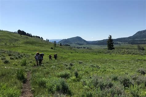 2026 Yellowstone Hellroaring Creek Day Hike with REI (with Reviews)