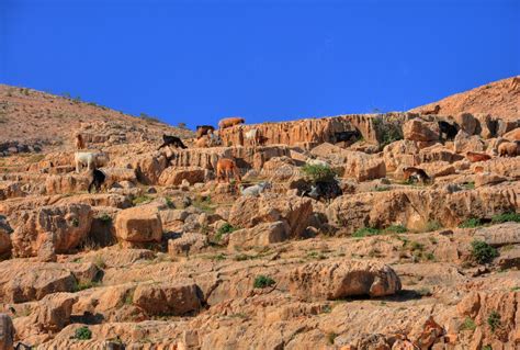 Gilgal The Monument to the Priesthood – Book of Mormon Evidence