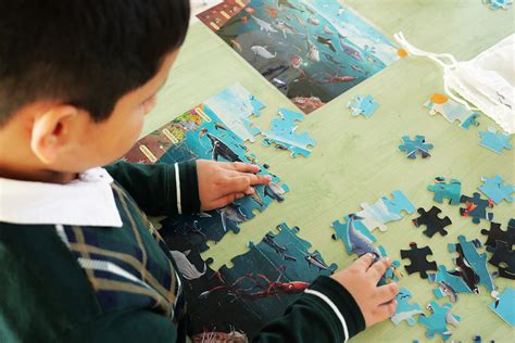 Ocean Activity Kit | Science, Sustainability and Trivia - Luma World