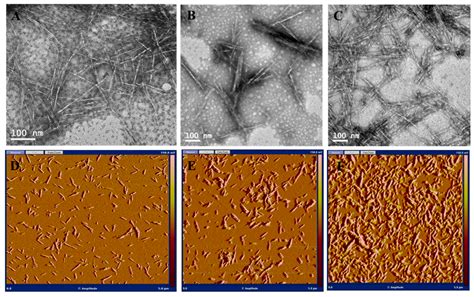Synthesis and Cytotoxicity Studies of Wood-Based Cationic Cellulose ...