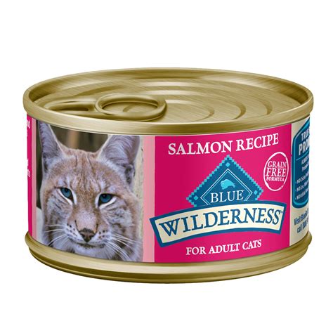 Blue Wilderness Salmon Recipe Wet Cat Food - CAT YUW