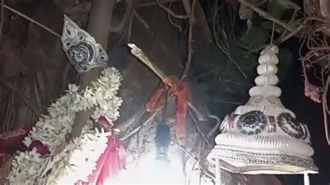 Tree Marriage: ಮಗನಂತೆ ಸಾಕಿದ ಆಲದ ಮರಕ್ಕೆ ಮದುವೆ ಮಾಡಿದ ಅಜ್ಜಿ! ಅಂದಹಾಗೆ ...