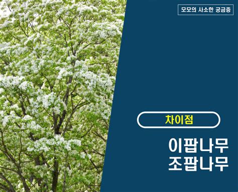 Image result for Alien Ripley Alien