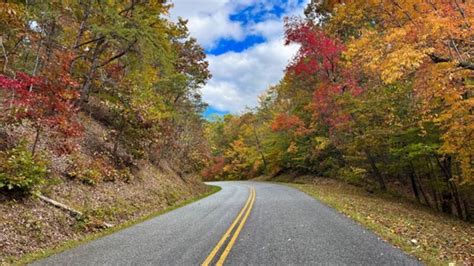 Central Virginia News