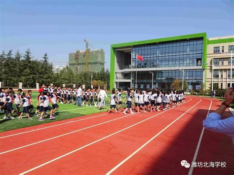新增67275个学位，今年秋季学期潍坊47所中小学建成投用_项目_改扩建_投资