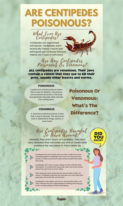 Centipedes Poisonous