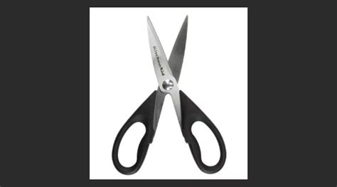 Scissors 的图像结果