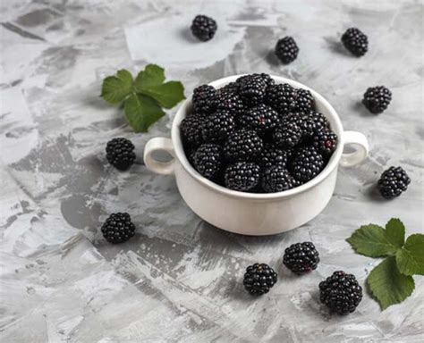 Blackberry Yogurt Face Pack For Wrinkles And Acne In Hindi | blackberry ...