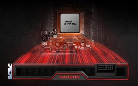 AMD Memory 的图像结果