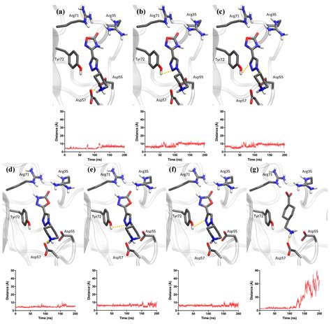 Unravelling the Antifibrinolytic Mechanism of Action of the 1,2,3 ...