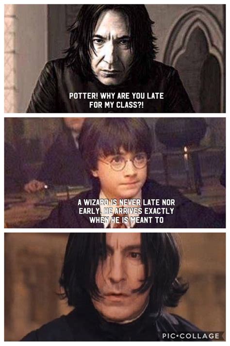 24+ Funny Harry Potter Memes