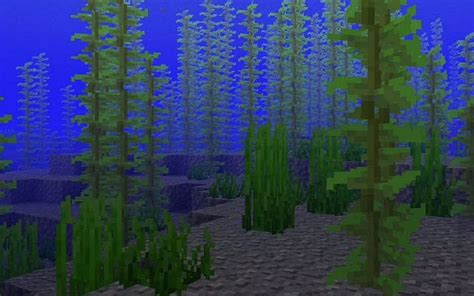 Image result for Kelp Farm Java