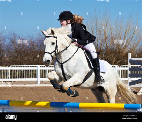 Collection 100+ Pictures Pictures Of Horses Jumping Updated