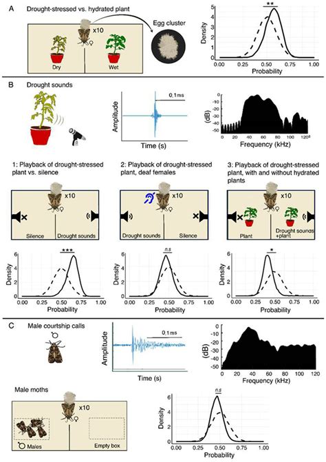 Insects can hear plants "talking" before deciding where to lay eggs ...