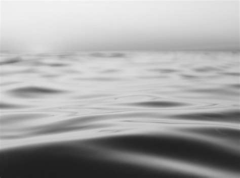 What Is Digital Watermarking? | Fortra