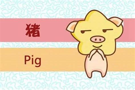 十二生肖剪纸猪PSD素材免费下载_红动中国