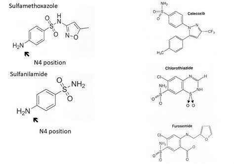 Can my patient with a ‘sulfa allergy’ receive celecoxib or other nonantimicrobial sulfonamides ...