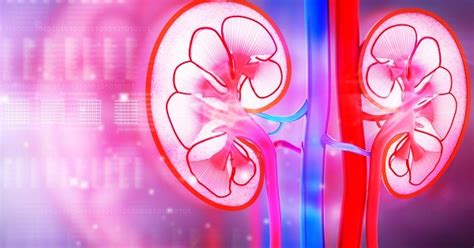 These 5 symptoms indicate major kidney problems ignoring them can be ...