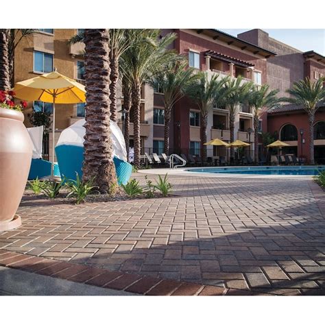 Belgard Holland Stone 8-in L x 4-in W x 2-in H Country Concrete Patio ...