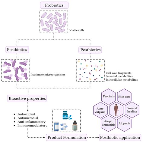 Production, Formulation, and Application of Postbiotics in the Treatment of Skin Conditions