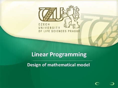 Linear Programming Mathematical Model 的图像结果